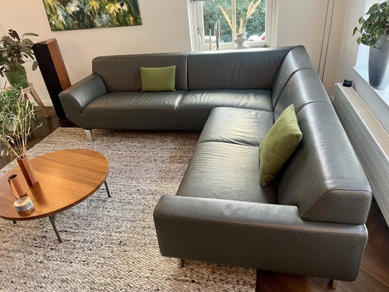 Image 1 of Pode Leolux banque de données Sync 242 à 248