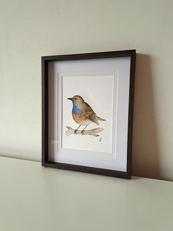 Image 1 of Watercolor painting Bluethroat Original | Framed