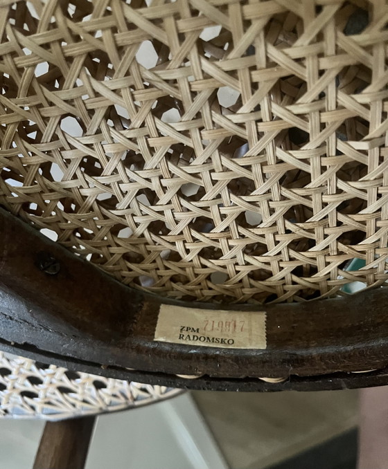 Image 1 of Juego de sillas de comedor Thonet Radomsko