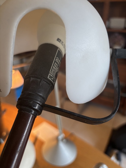 Tafellamp Arteluce - Paolo Rizatto