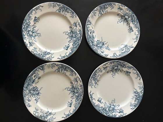 Image 1 of 13 Louis Graves Terre de Fer dinner plates