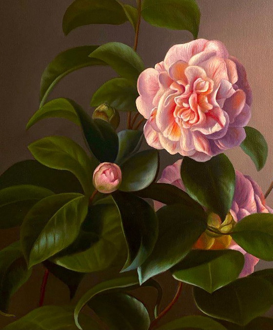 Original Oil Painting Camellia Flower – Paintings & Drawings, Canvas (photo 4 of 6)