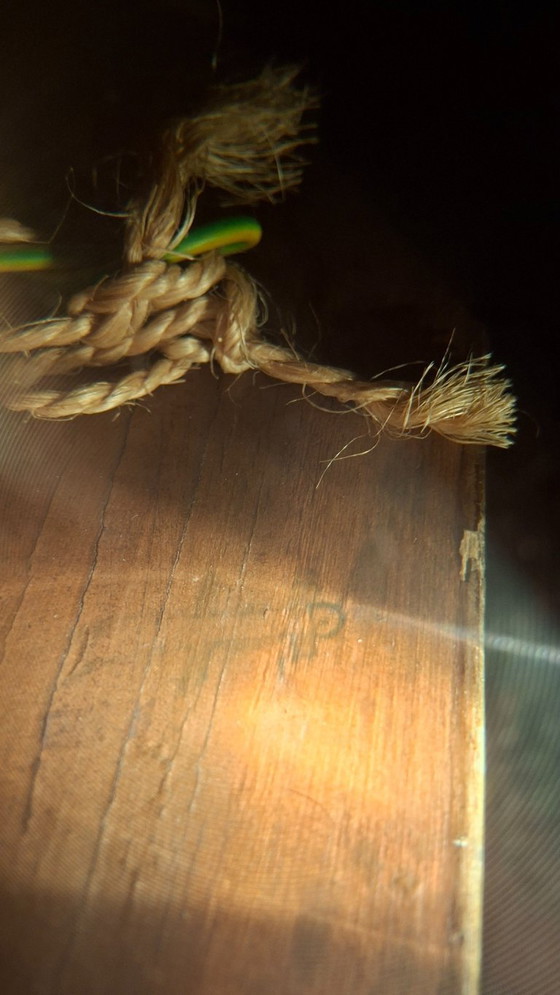 Image 1 of Topstuk: Authentieke Jan Hendrik Verburgh – "Familie Eenden" – Monumentale 19e-eeuwse Biggs & Sons Lijst