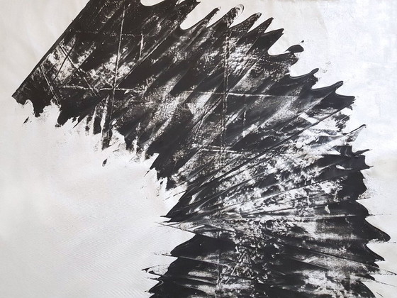 Image 1 of Jürgen Angeler - Zwarte Zilveren Sikkel