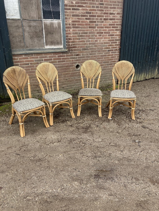 4 Sedie “foglia di palma” Vivai del Sud. 