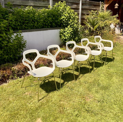 Set of 5 Desano Trace designer chairs