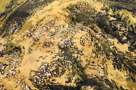 Image 1 of Carpets by René Fumeron