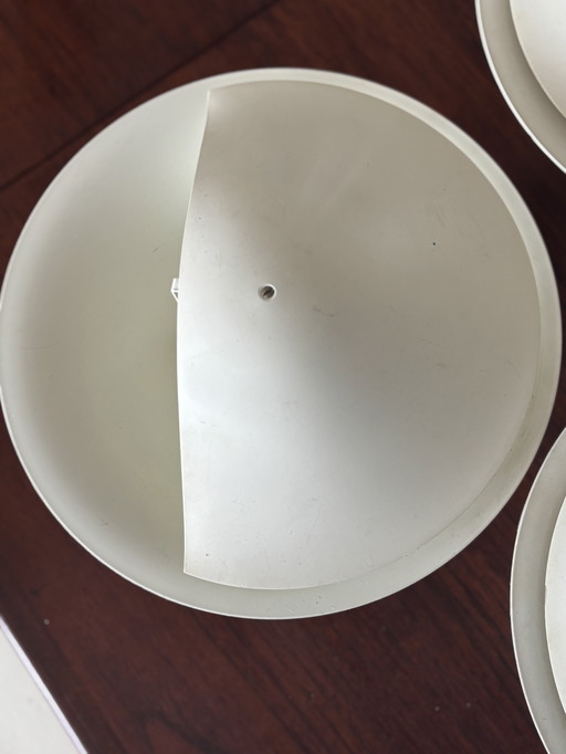 4 lampes de poche Raak