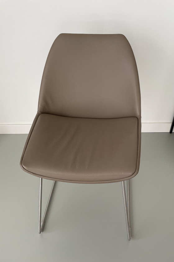 Image 1 of 4 sillas de comedor de cuero Bree's New World