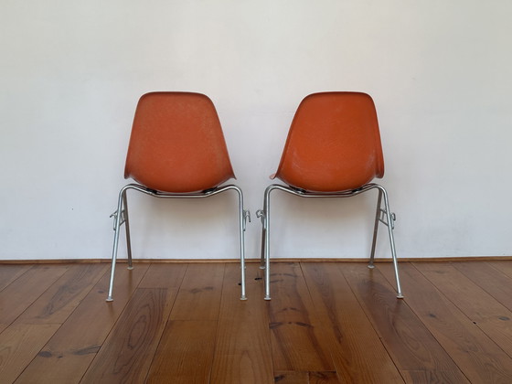 Image 1 of Sillas Herman Miller Eames DSS