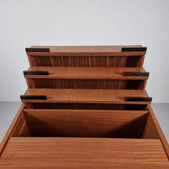 Vintage Cabinet by Francisek Mezulanik, 1960s – Boekenkasten, Wood (photo 4 of 11)