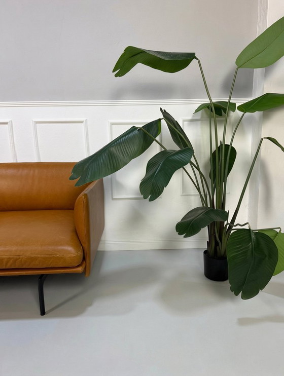 Image 1 of Canapé 2 places Muuto Outline en cuir cognac marron