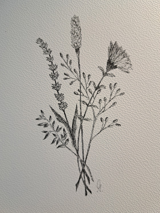 Image 1 of Illustrazione Botanica Bouquet Selvatico | Cornice Marrone Scuro