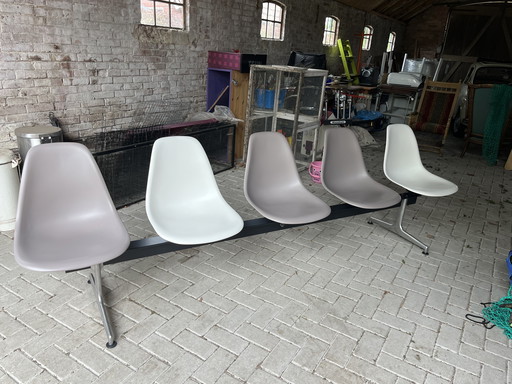 Charles Eames Vitra - 5 conchiglie in traversata