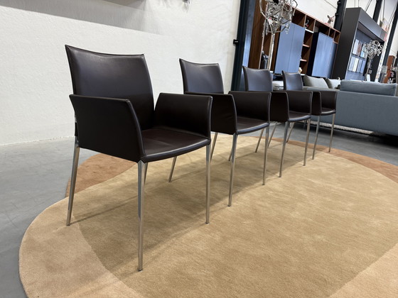 Image 1 of 4 sedie da pranzo Zanotta Zia in pelle marrone come nuove