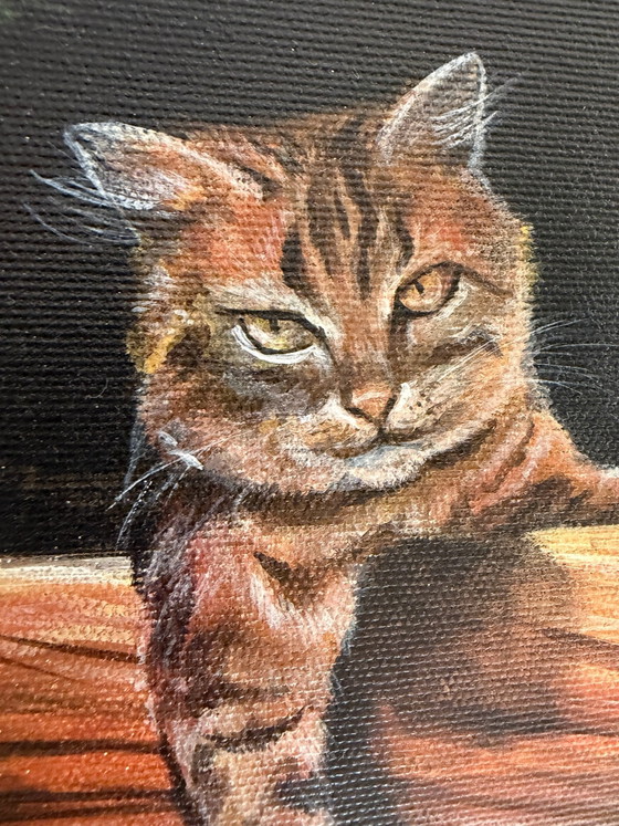 Origineel acryl  schilderij De Kat, Schilderijen & Tekeningen, Anders, Meerdere kleuren (foto 4 van 6)