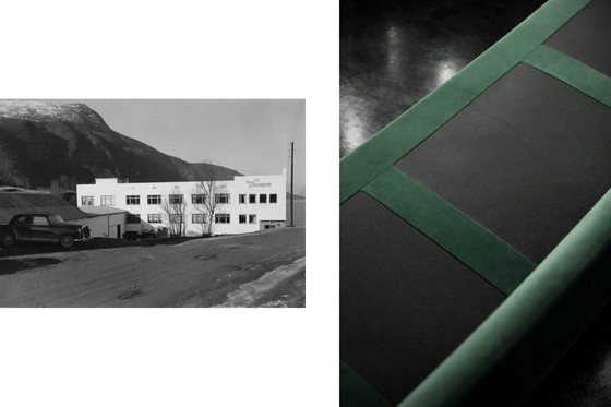 Image 1 of Divano e sedia vintage in palissandro norvegese e velluto verde bottiglia di Knut Sæter per Vatne Møbler, anni '60, set di 2