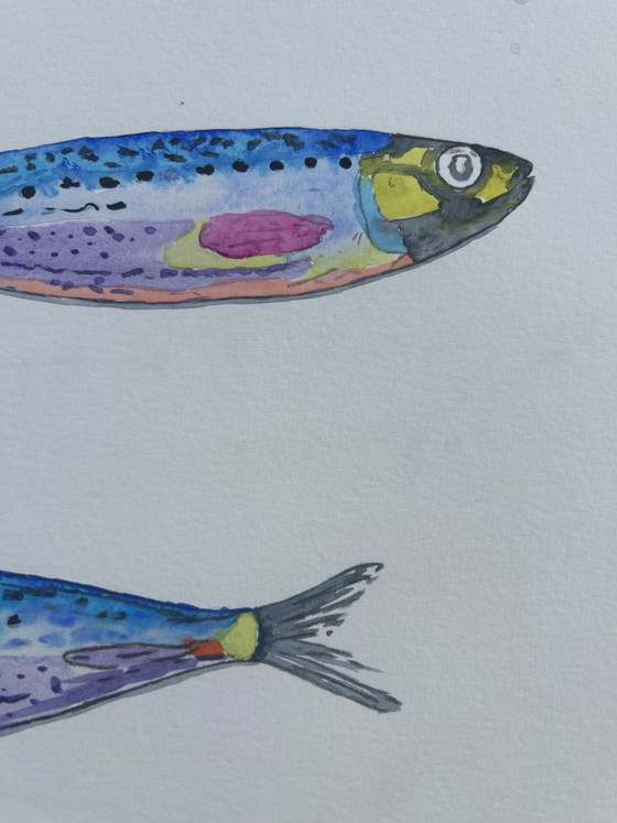 Acquerello Sardine – canson, Decorazioni murali, Paper (photo 5 of 8)