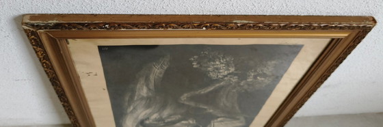 Image 1 of Adriaan Johannes van 't Hoff - Oiseau de paradis sur une branche - Lithographie