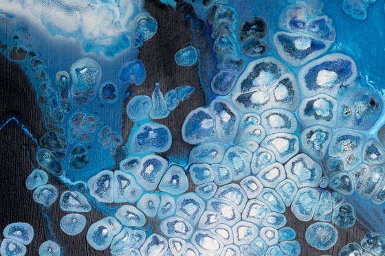 Image 1 of Flor de hielo