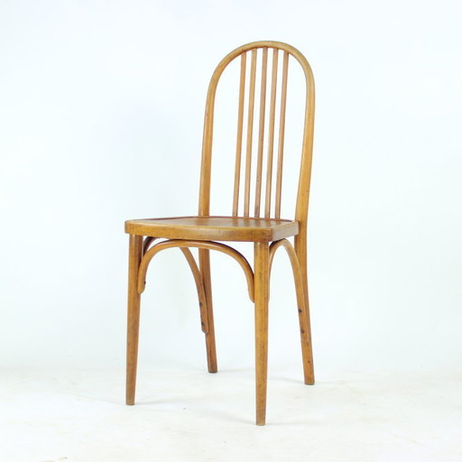 Vintage Thonet Bentwood Oak Chair With Original Label, Czechoslovakia, 1920s