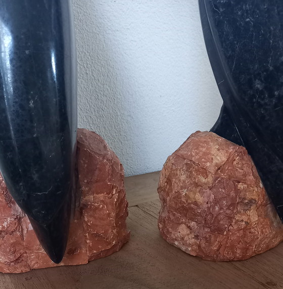 Image 1 of 2 toucans marbrés