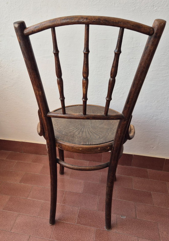 Image 1 of Silla de café de madera curvada de los años 20