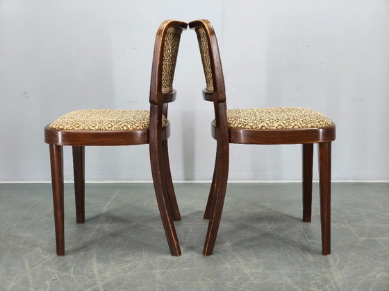 Image 1 of Set di 4 sedie da pranzo Thonet, Cecoslovacchia, anni '40
