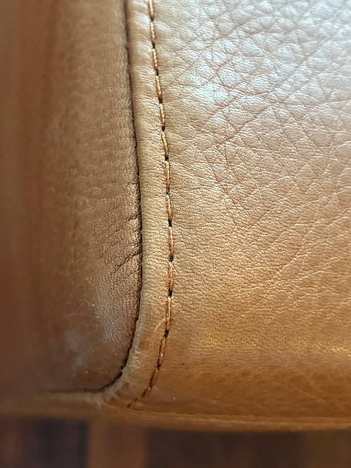 Divano in pelle "Deep Space" di Brühl & Sippold, marrone chiaro/beige, due posti