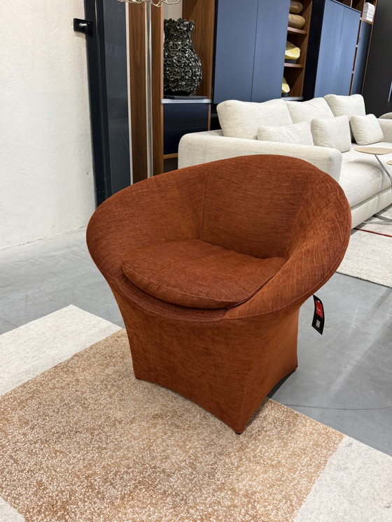 Image 1 of Label van den Berg Fauteuil Ace Terra