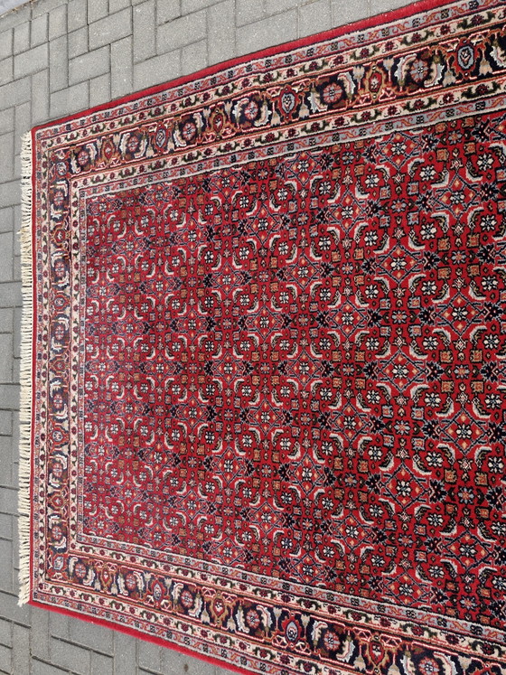 Vintage Handgeknoopt Perzisch Bidjar Tapijt – Iran – 305 x 200 cm – Vloerkleden en tapijten, Cotton, Wool (photo 11 of 15)