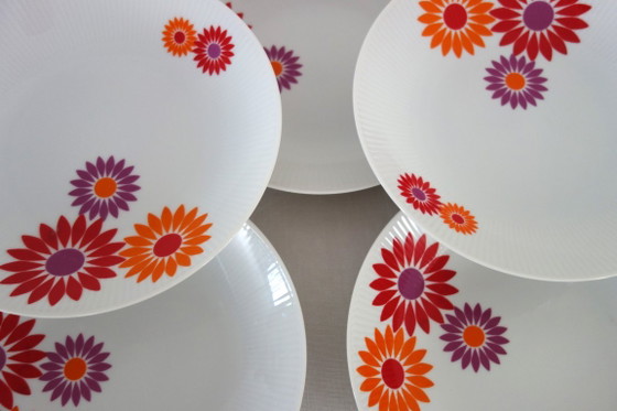 8 Seltmann Weiden West Germany 70's Deep Plates – Crockery, Porcelain (photo 3 of 10)