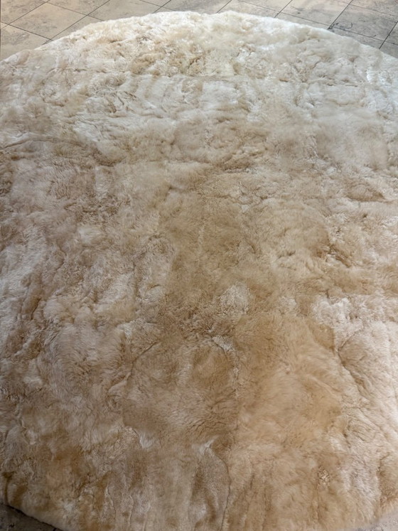 Image 1 of Alpaka Teppich Edwin rund 250 cm Champagner neuwertig Weich Couture   