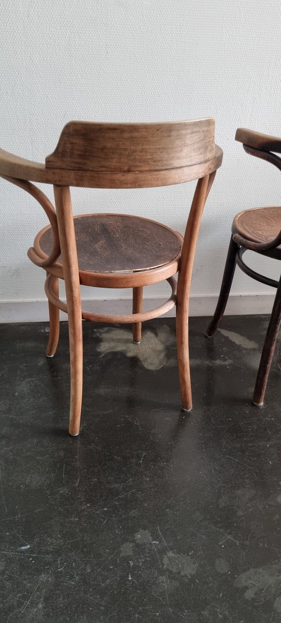 Image 1 of 2 Thonet stoelen