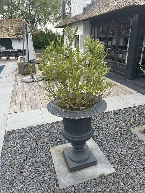 Image 1 of vasi da fiori in ghisa