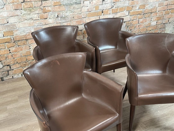 Matteo Grassi Vela Stühle 4er-Set – Braun | Carlo Bartoli – Esszimmerstühle, Leather, Wood (photo 3 of 11)