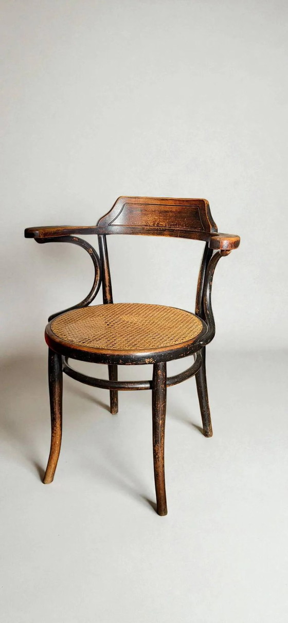 Sillón Thonet No. 6003 – Sillones, Wood (photo 2 of 11)