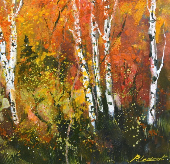 Image 1 of Aspen trees in autumn