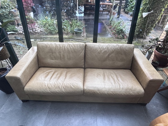 Image 1 of 3-Sitzer Ledersofa im niederländischen Design von Lederland