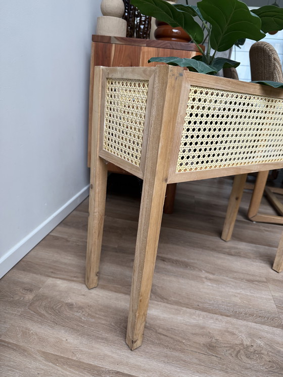 Image 1 of Supporto per piante