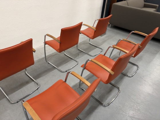 6 Leolux Freyr Chaise de salle à manger Cuir orange, Chaises de salle à manger (photo 12 sur 12)