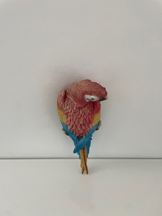 Image 1 of Wall sculpture red macaw parrot colorful design
