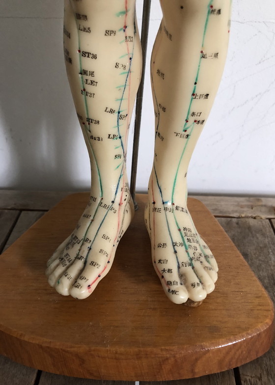 Image 1 of Beautiful Vintage Doll With Acupuncture Meridians