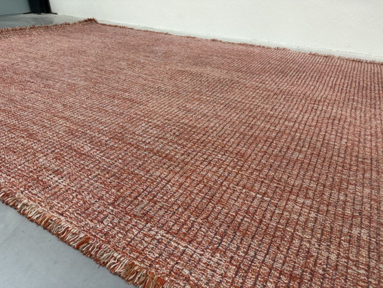 CSrugs Tweet Tappeto Rosso 220x320, CS Rugs, Tappeti, Altro, Multicolore (foto 11 di 13)