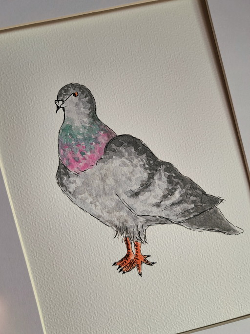 Watercolor painting dove | Original including frame