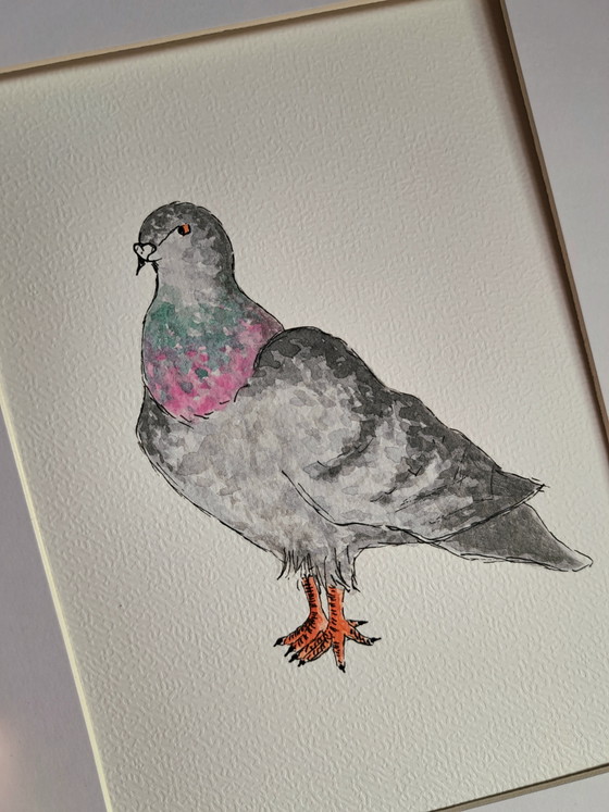 Image 1 of Watercolor painting dove | Original including frame