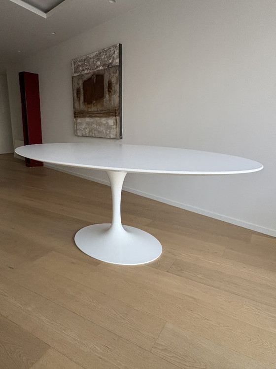 Knoll 174TO Saarinen Table - 78" Oval – Dining tables, Plastic, Aluminium (photo 11 of 11)