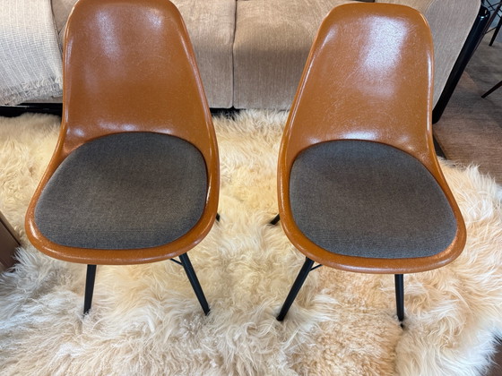 2x Vitra Eames Fiberglass Chairs, arancione, Sedie da pranzo, Metallo, Tessile, Design (foto 5 di 6)
