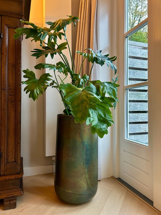 Beautiful large metal Plant pot 70cm with Philodendron plant, Aluminium, Gold (photo 2 of 5)
