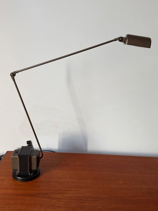 Daphine Terra LED - Lumina